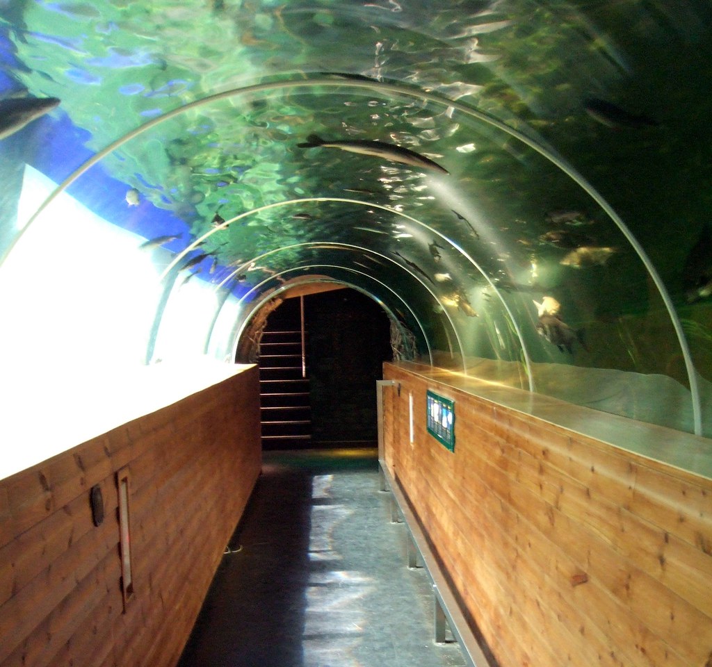 Aquarium tunnel the underwater tunnel at the Lakeside Aqua… Flickr