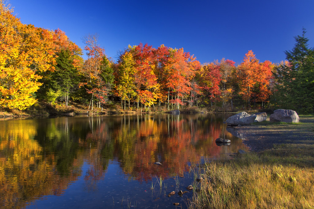 Poconos Fall Foliage 2023 Fall Foliage In The Pocono Mountains | Mark Luethi | Flickr