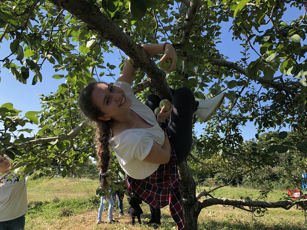 Empire Apple Picking 2018 Flickr