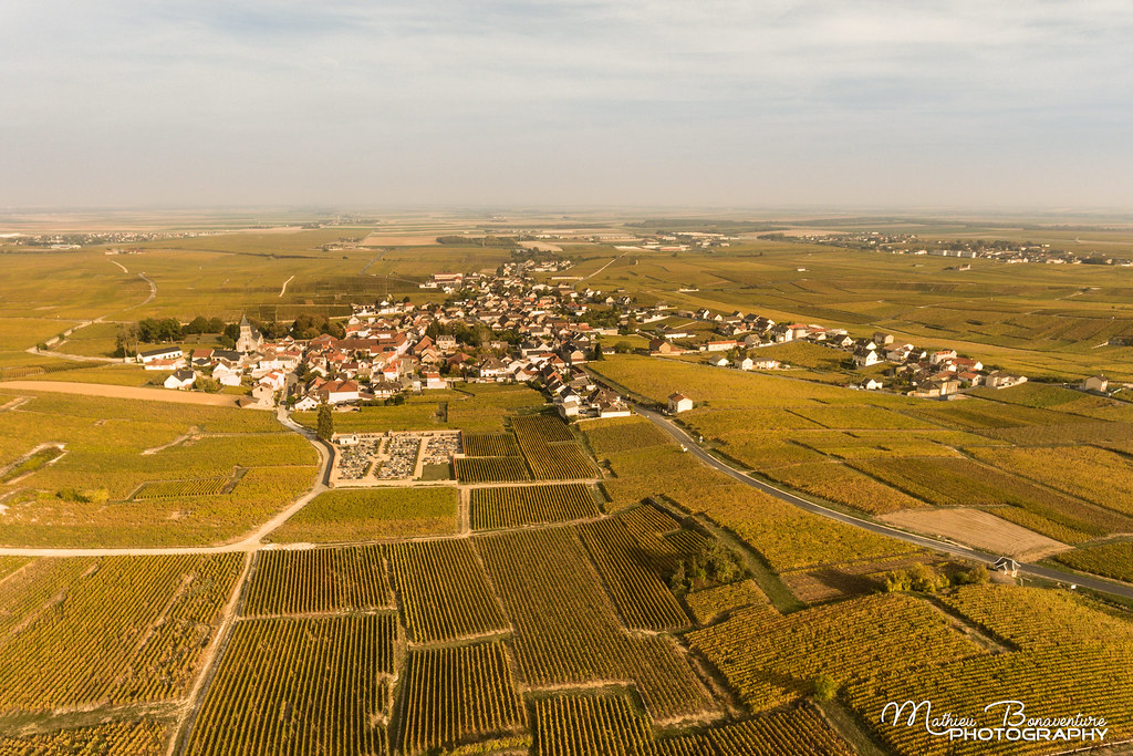 Champagne Vineyards Côte des Blancs Mathieu Bonaventure Flickr