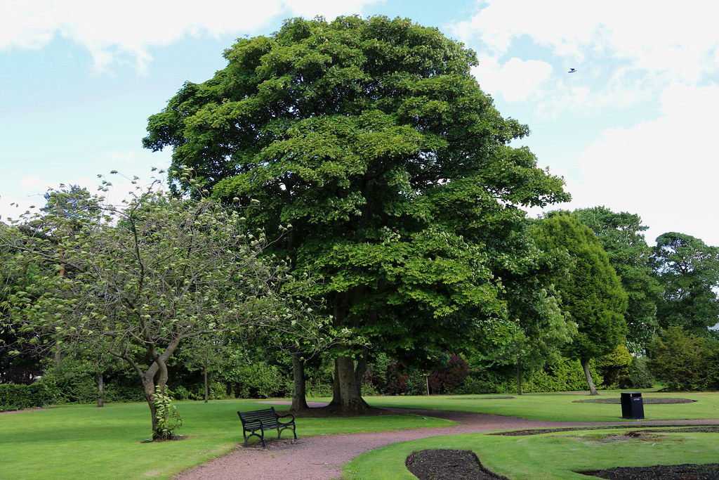 Woodhead Park, Kirkintilloch. A quiet day in this part of … Flickr