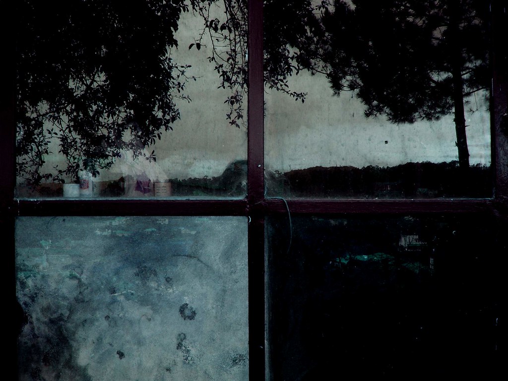 greenhouse Sabine Portela Flickr