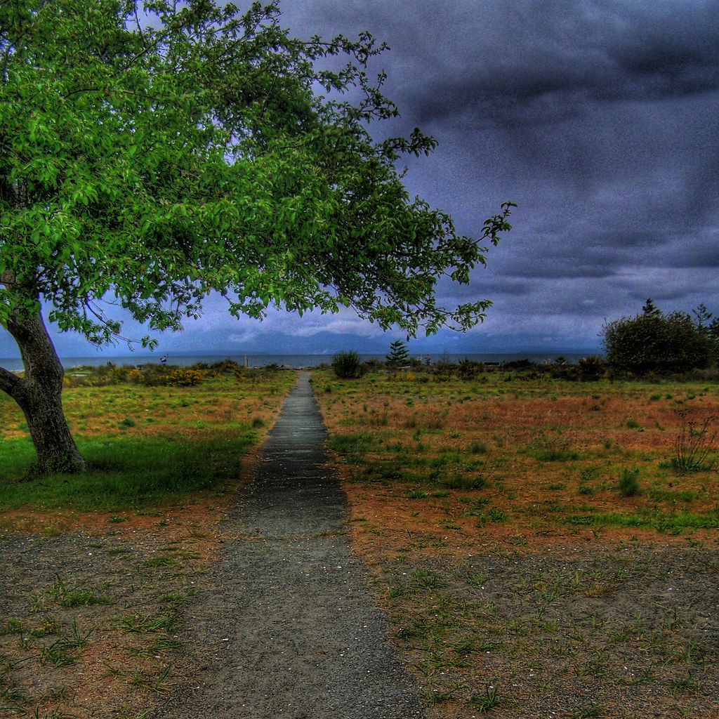 I Can See Clearly Now Liam Flickr