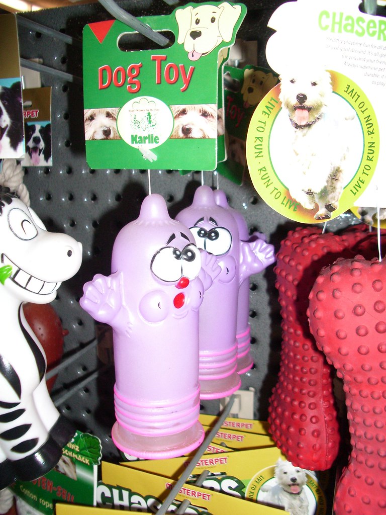 Strangest looking dog toy in the world Found in City Farm