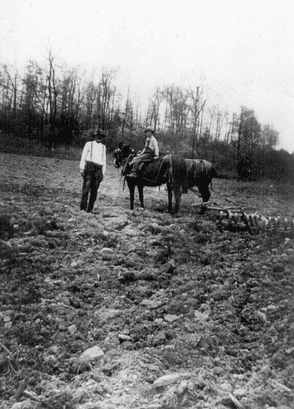 The Plummer farm in 1919 Flickr