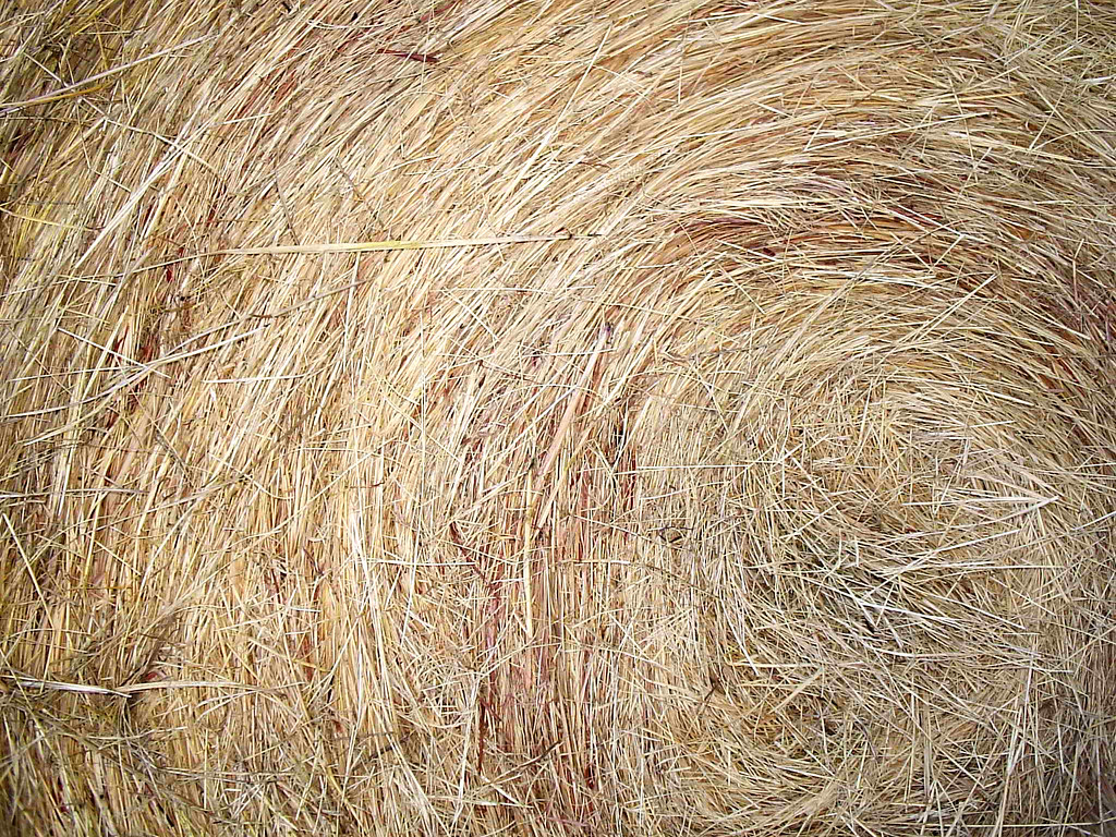 Hay! For the textures group. In Texas there are hay bales … Flickr