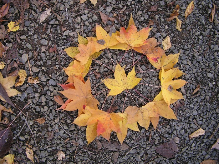 Andy Goldsworthy Art How to get rid of breast calcifications naturally