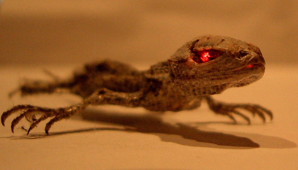 Terminator 2 The cute little subject of Puzzle 18. Steve Jurvetson