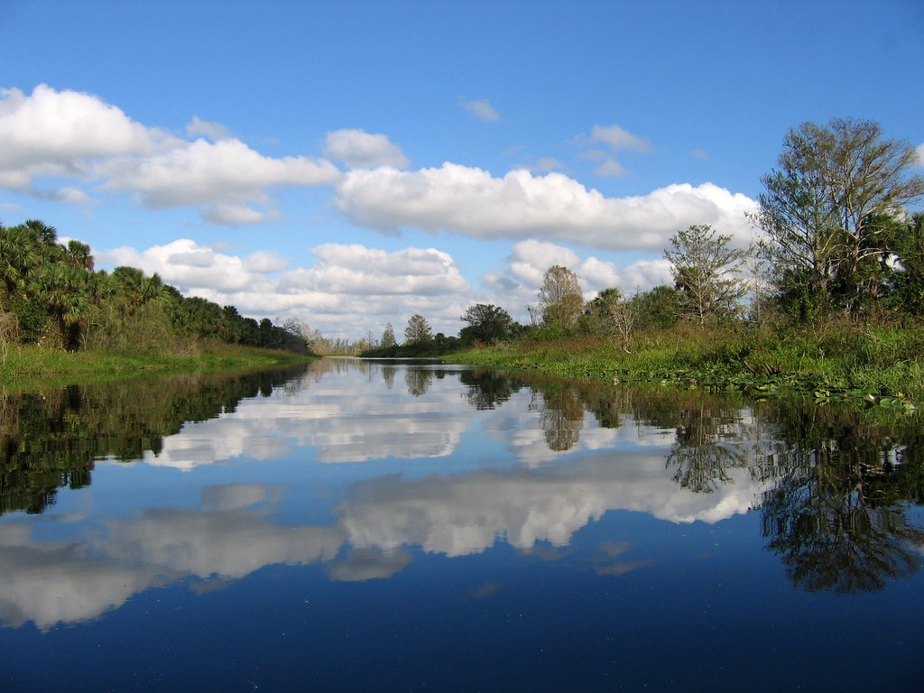 Kissimmee River, Florida 0535 wlpendley Flickr
