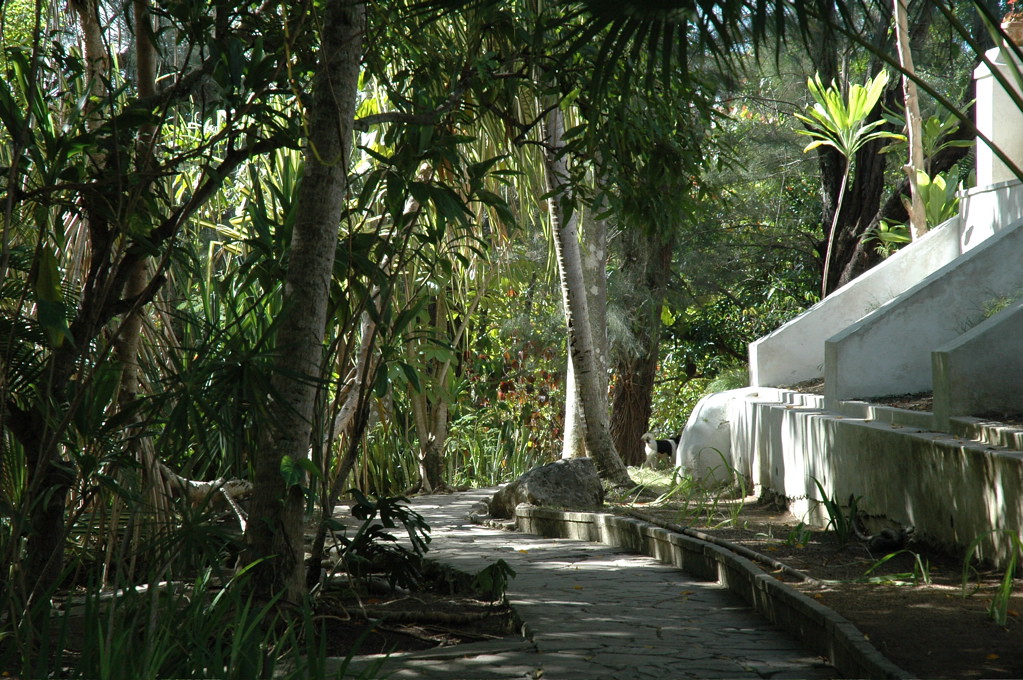 Pathway, Hemingway Estate Darren Barefoot Flickr