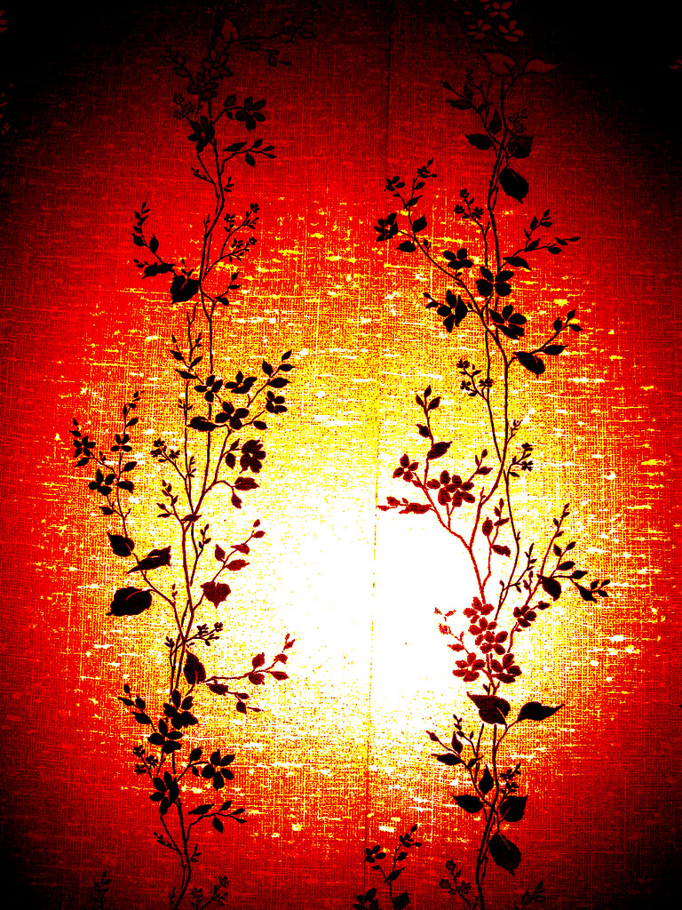 Old Wallpaper I took a picture of my roommates wallpaper, … Flickr