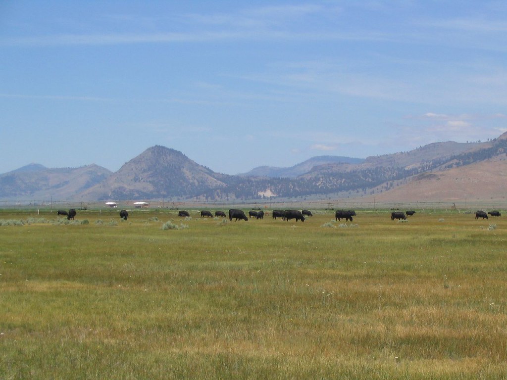 Pasture on California State Route 70 Near Beckwourth, Cali… Flickr