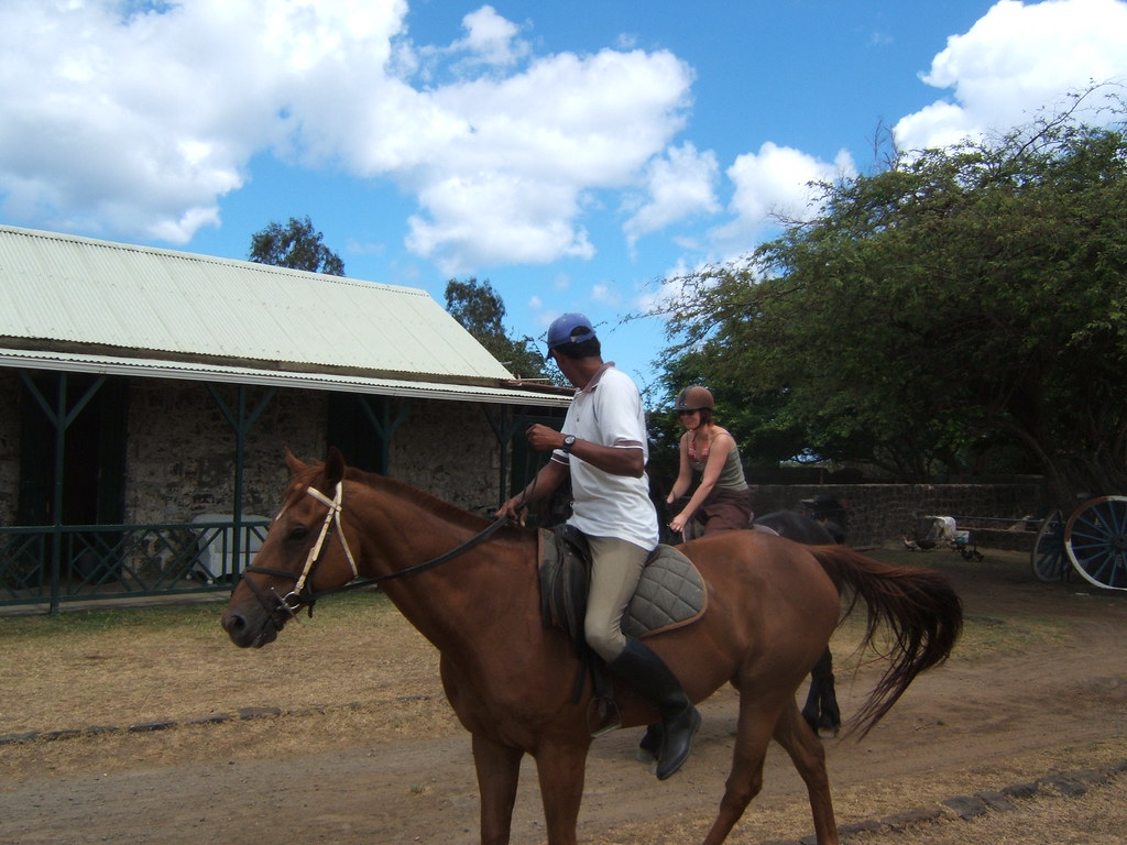 Horse Riding Maritim Hotel, Mauritius Tim Parkinson Flickr