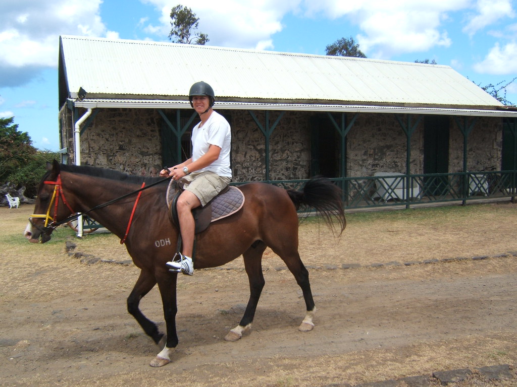 Horse Riding Maritim Hotel, Mauritius Karl and horse hav… Flickr