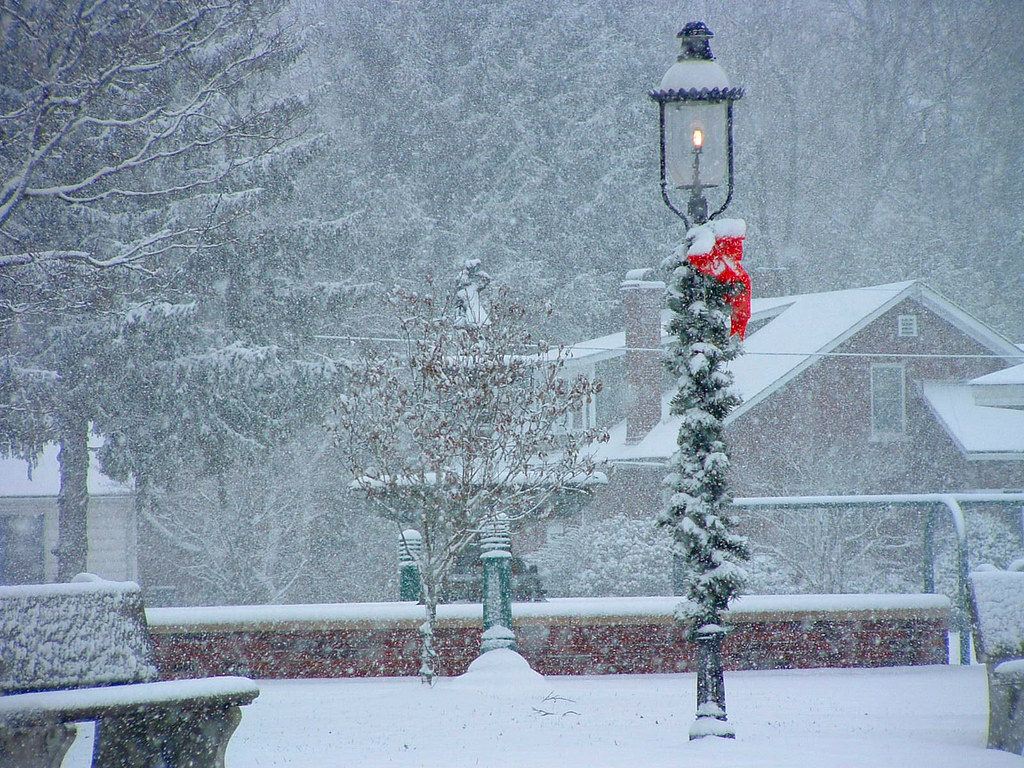 Snowing in the Park A very snowy day made our park downtow… Flickr