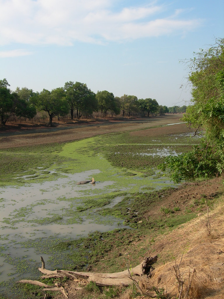 The oxbow lake in front of the hotel Lars Plougmann Flickr