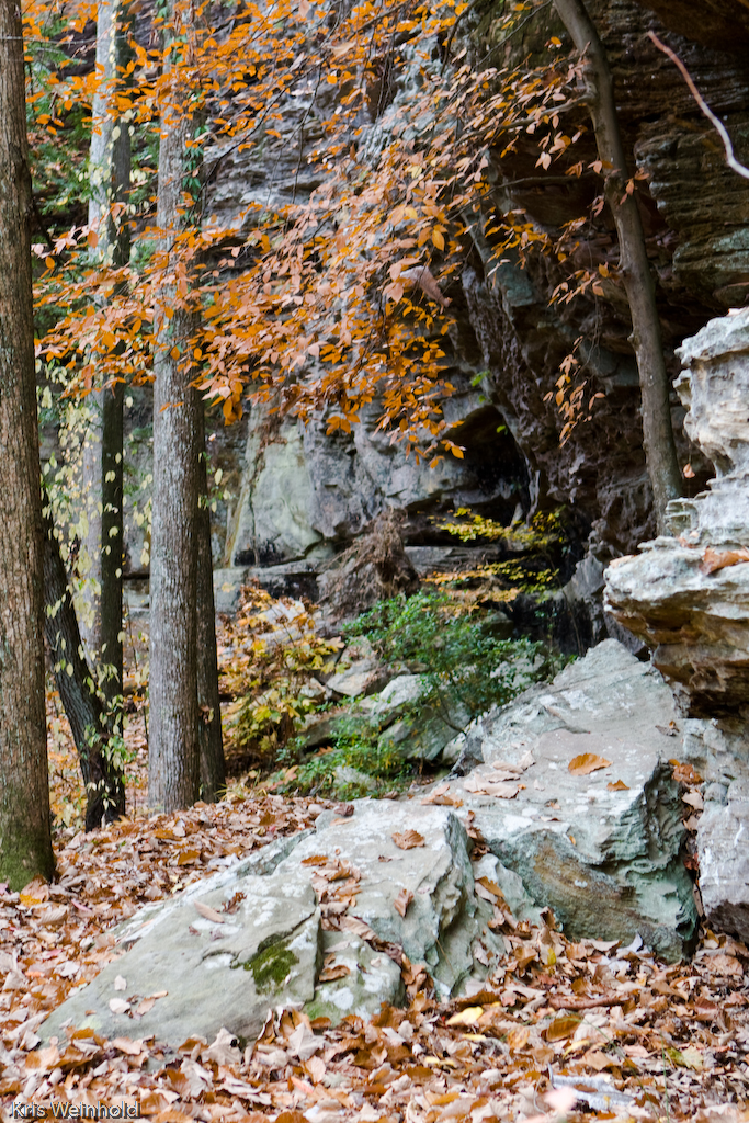 Sipsey Wilderness Area blogged here Kris Flickr