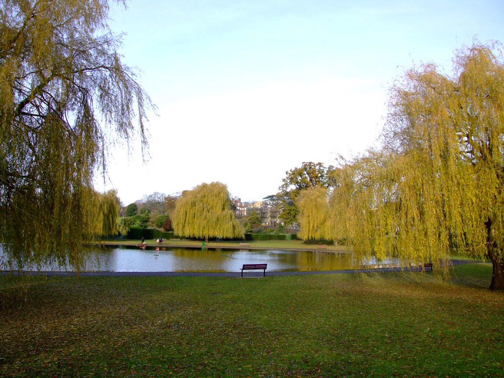 Broomfield Park Flickr