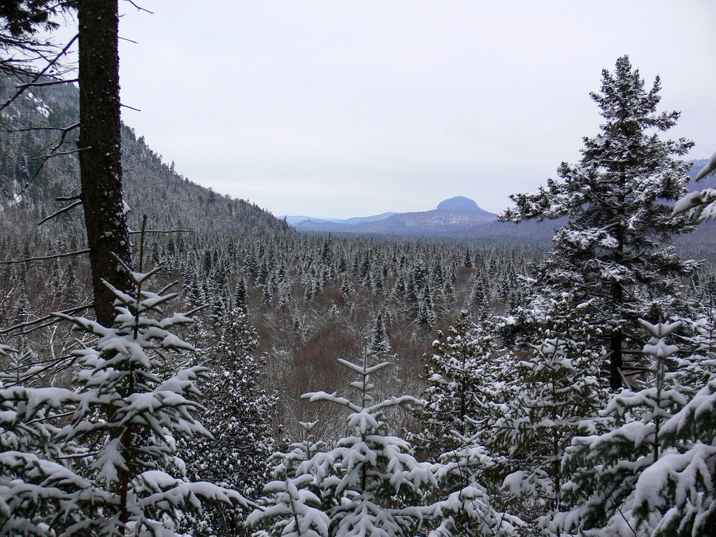 Parc national du MontTremblant Le Sentier de Centenaire Flickr