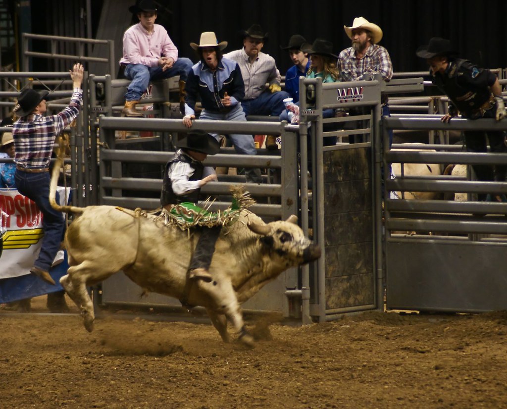 Professional Bull Riding (PBR), Indianapolis 2008 Paul J Everett Flickr