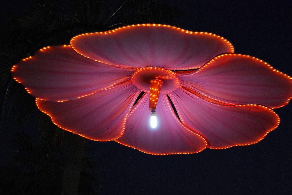 Flickriver Photoset '2008 Jubail Flower Festival' by Ben SJ