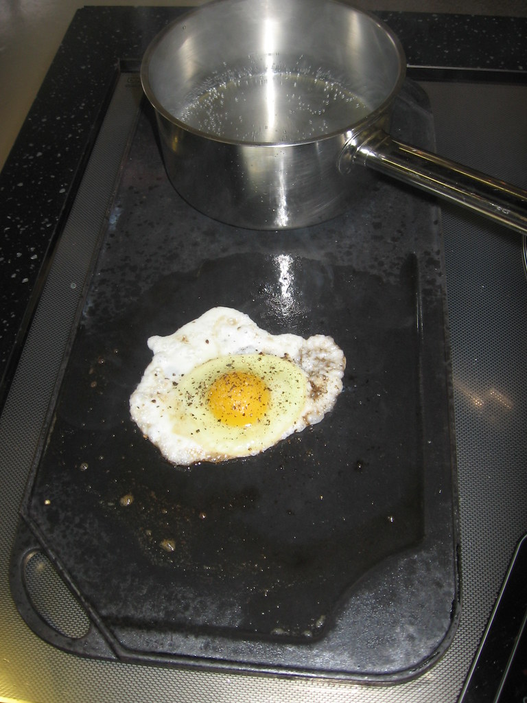 Induction Cooktop Grilling 14 Over easy? moralesem2 Flickr