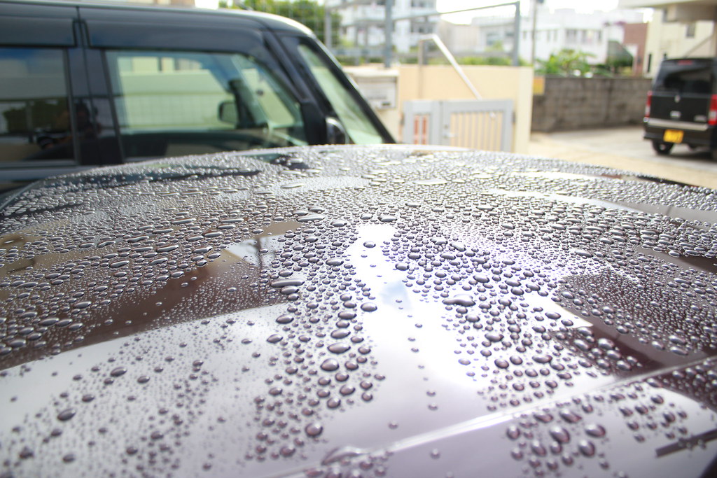 Water Beading This is how it is supposed to work. You have… Flickr