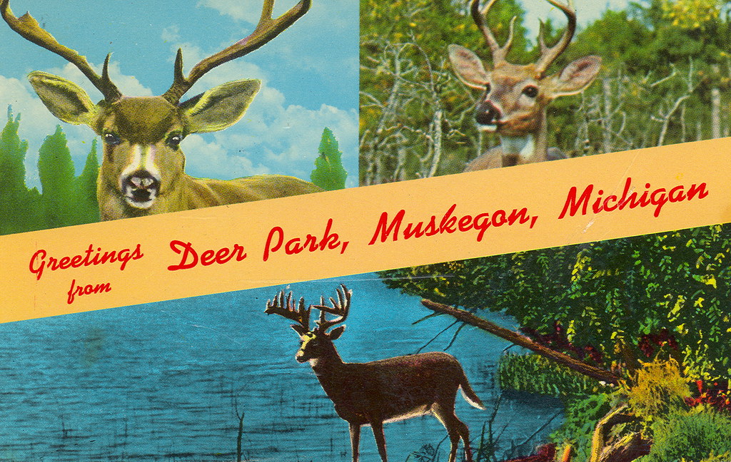 Muskegon Roadside Deer Park Attraction Don...The UpNorth Memories Guy
