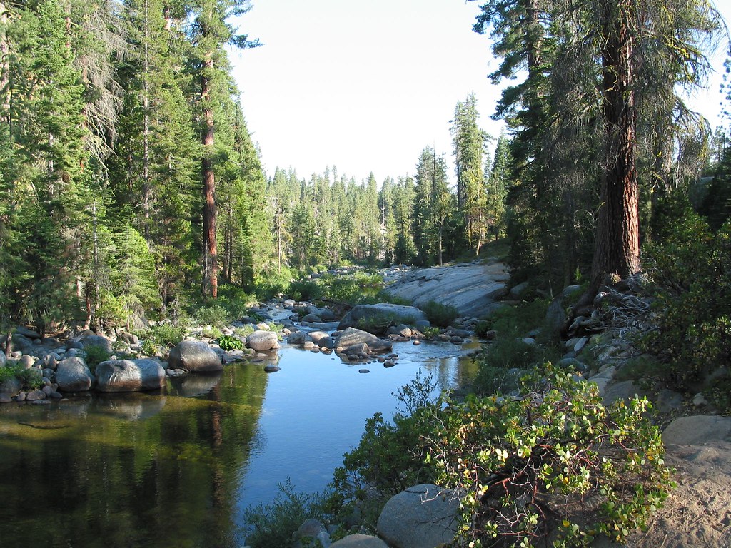 IMG_3558 2005, Dinkey Creek, CA Craig Taylor Flickr