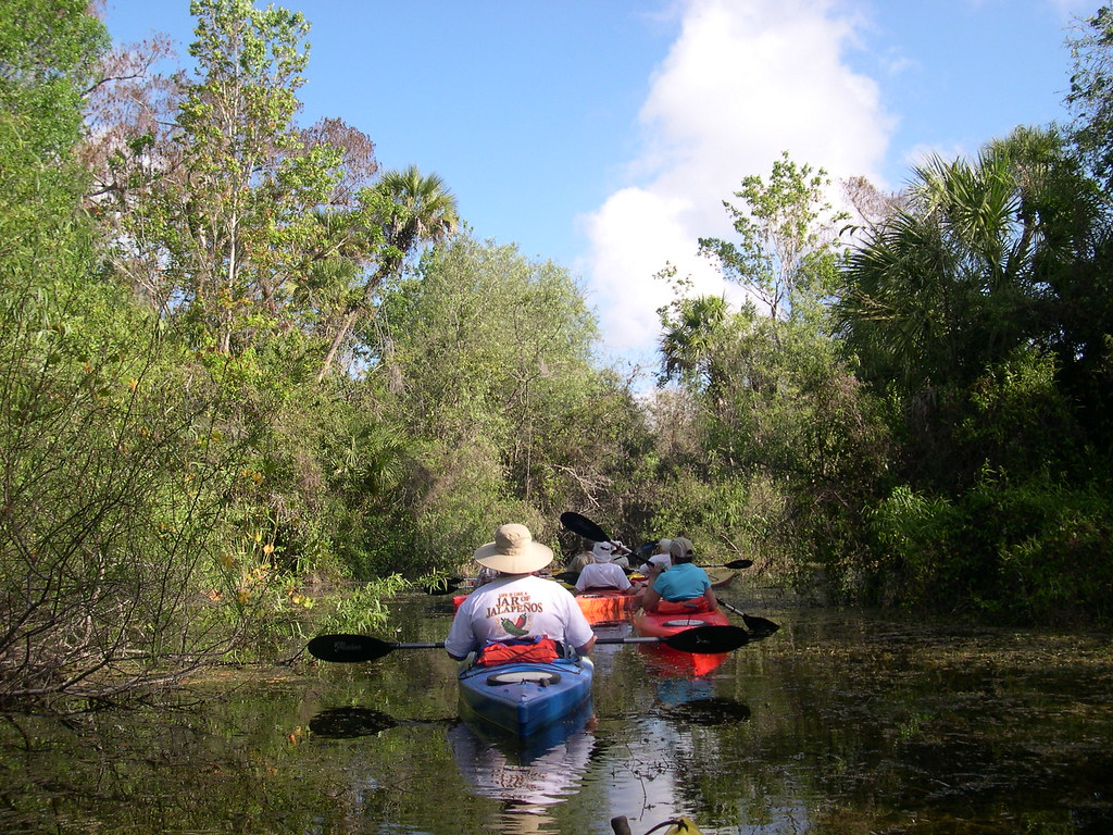 Turner River Taken on Turner river kayak trip Rich Juricich Flickr