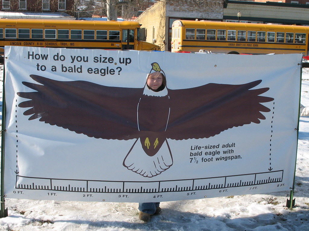 Clarksville, MO At Eagle Days, kids watch eagles snatch fi… Flickr