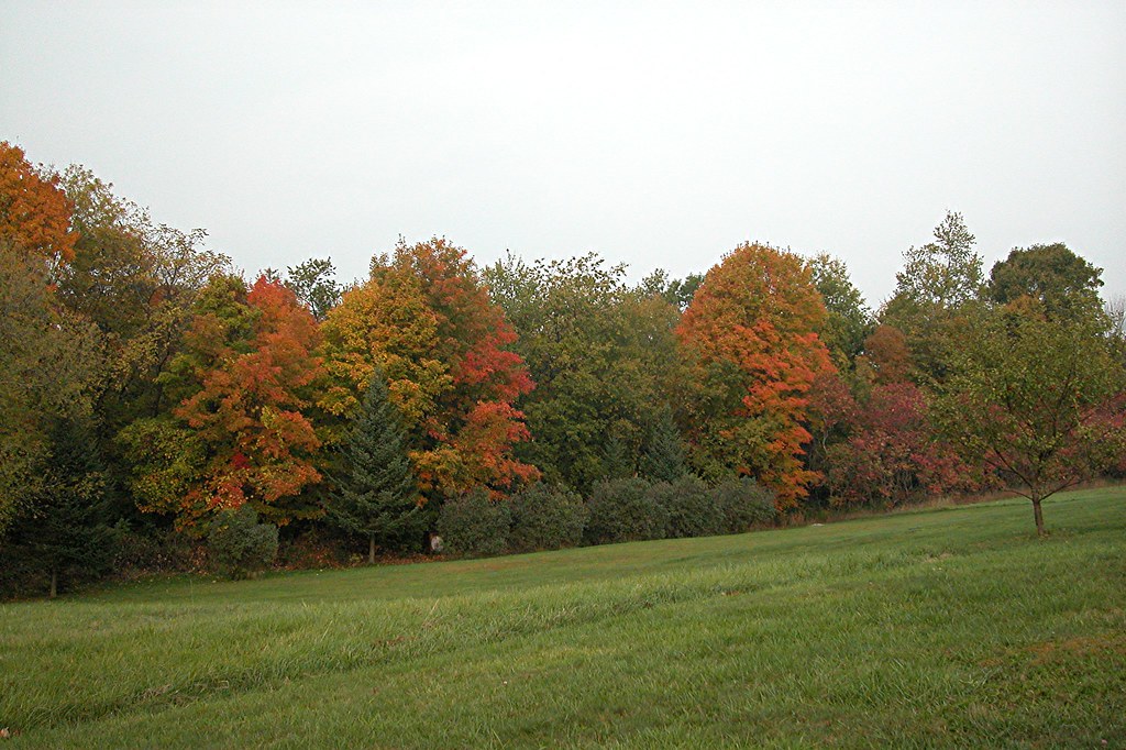 Color 0887 Monkton, VT Bob Von Bruns Flickr