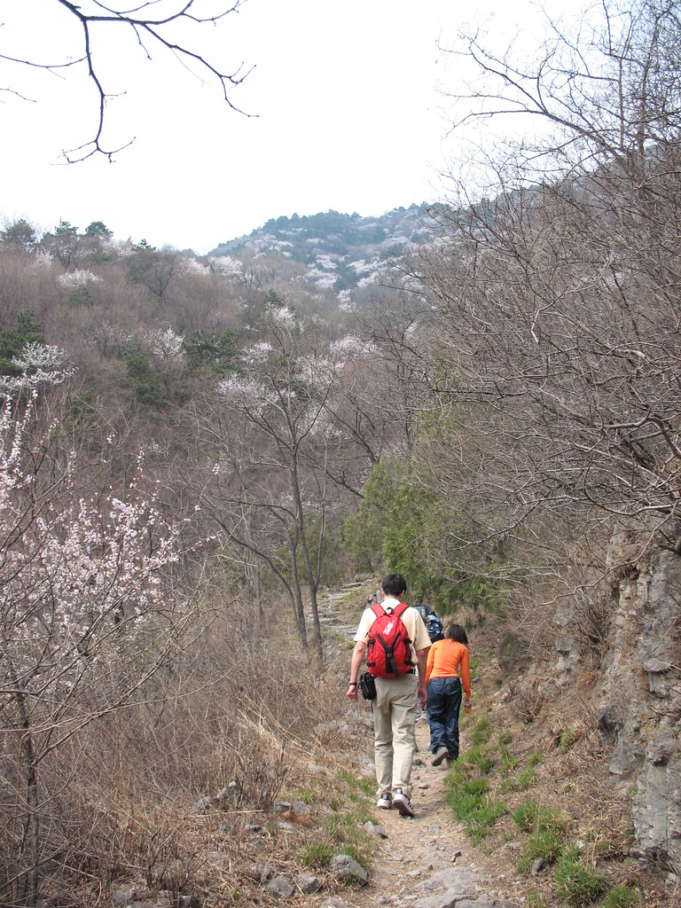 hiking in BJ fruitnveggies Flickr