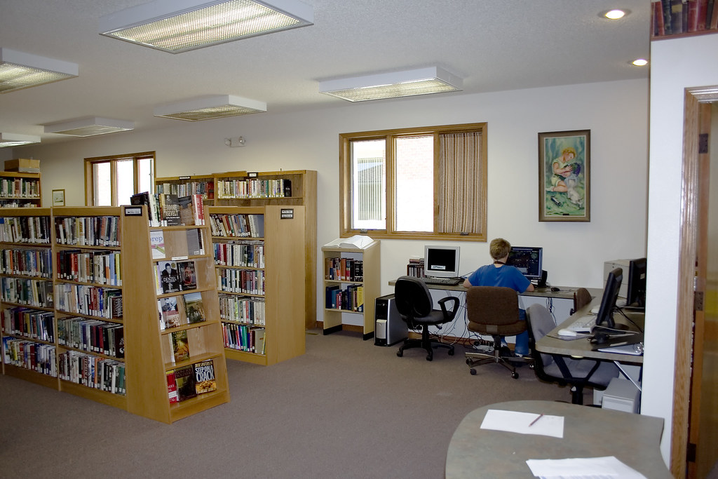 Bird City Library Stacks and Computers Beth Hoffman Flickr
