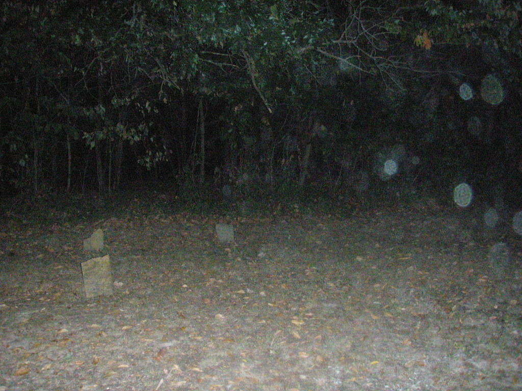 Bridgewater Cemetery More orbs jerrysson9 Flickr