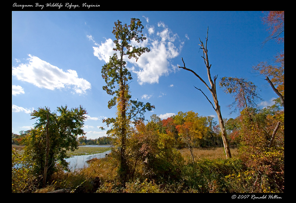 Occoquan Bay Wildlife Refuge Occoquan Bay Wildlife Refuge;… Flickr