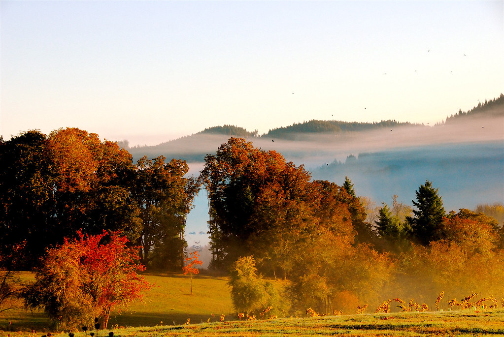 Eugene Oregon Fall Colors at King Estate Winery Don Hankins Flickr