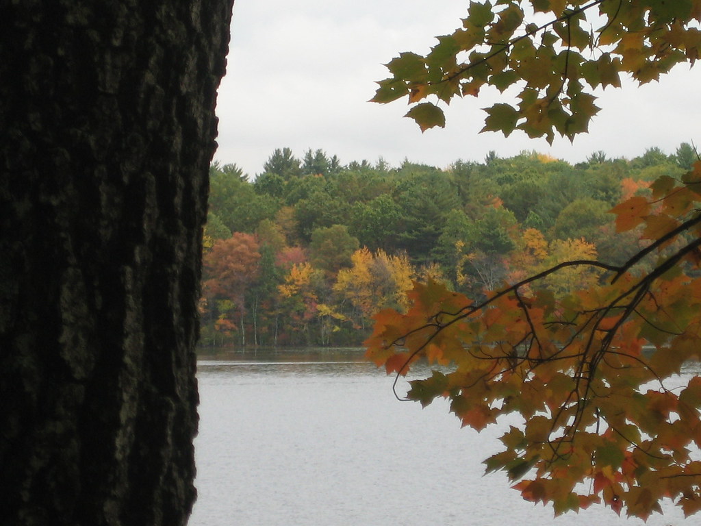 Prouty Woods, Littleton, MA Gin Inn Bar Man Flickr