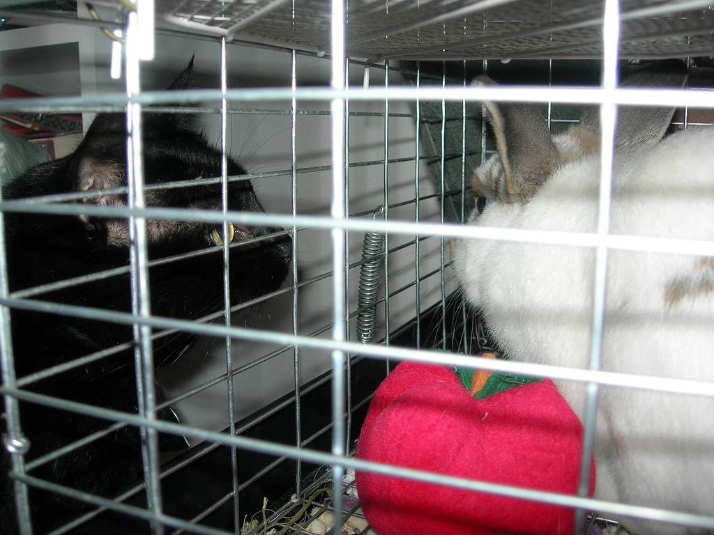 Hector Bailey's Instagram, Twitter & Facebook on IDCrawl