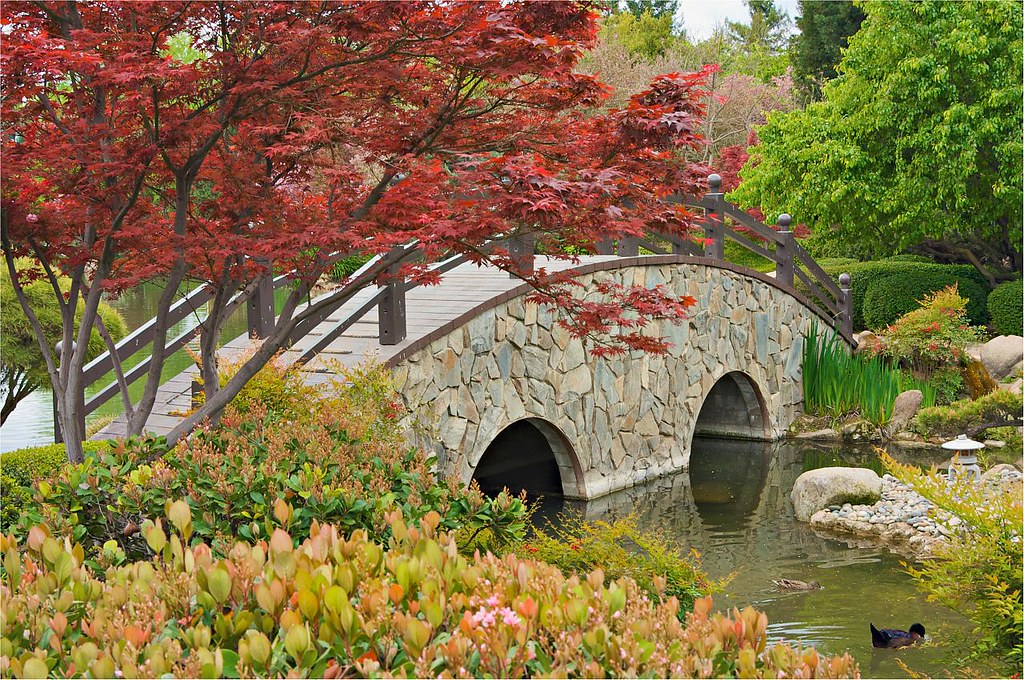 Japanese Garden Japanese Garden in Fresno, CA. Doug Scott Flickr