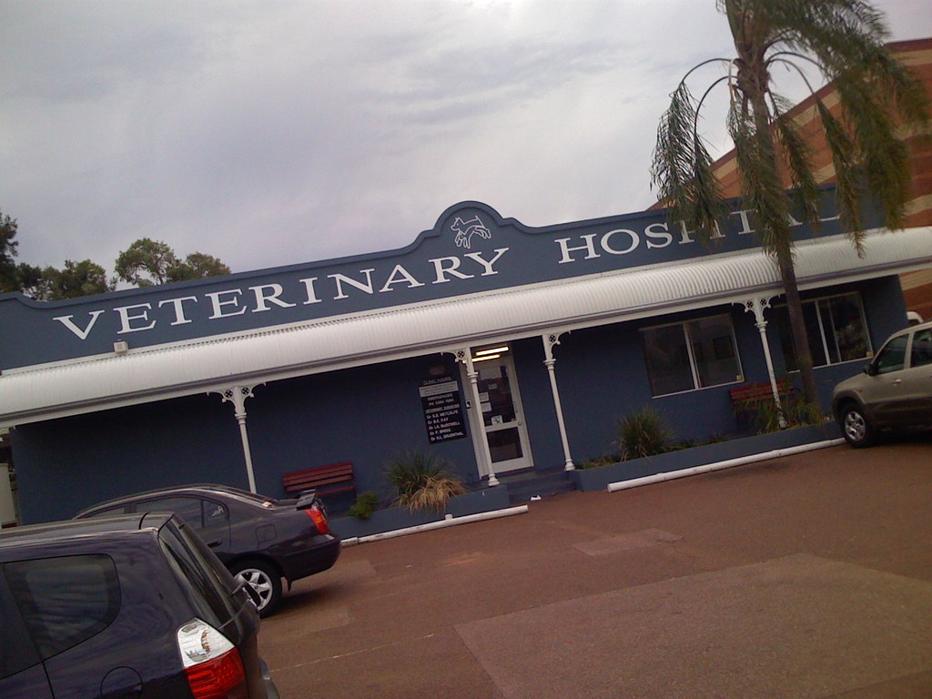 veterinary hospital philomglol Flickr