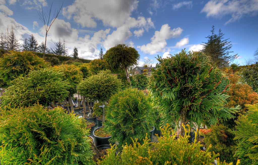 Hove garden center Rate my photo 1 2 3 4 5 6 7 8 9 10 Per Erik