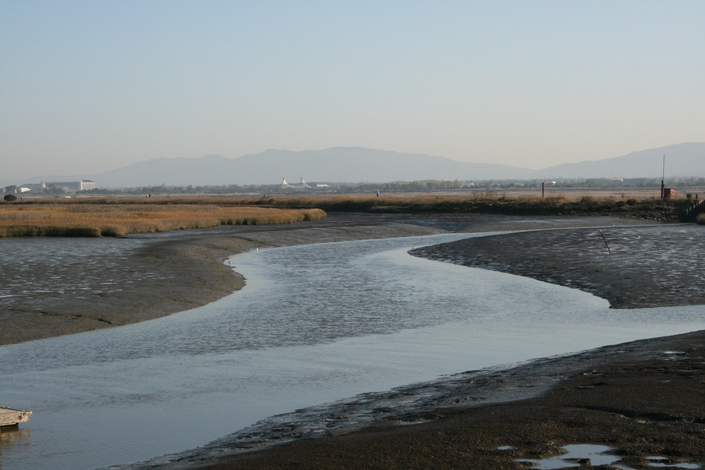 Slough This is a slough at the area at the eastern end of … Flickr