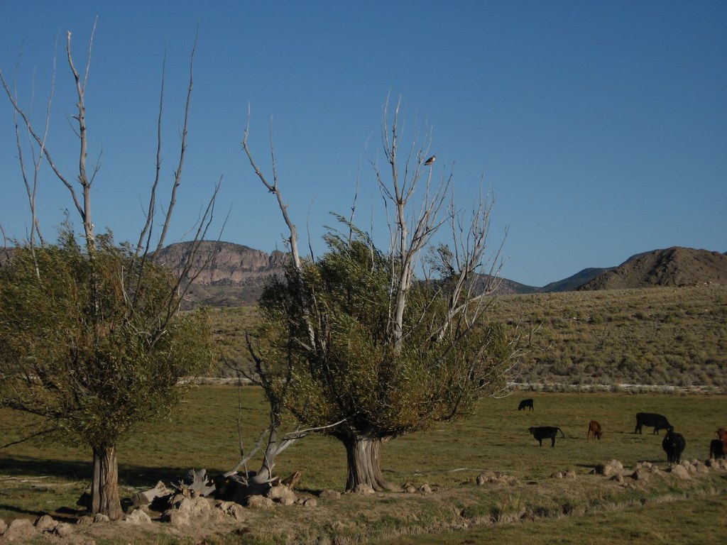 Utah State Route 62 Between Junction and Kingston, Utah Flickr