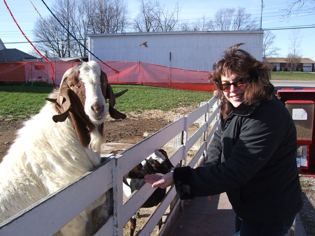 Young's Jersey Dairy Farm See the blog post for more info… Flickr