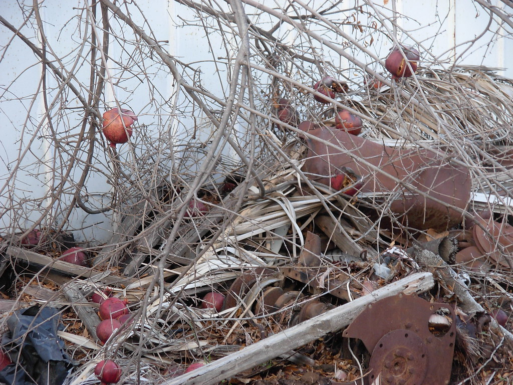 Scrap Metal Recycling Near Me in Clyde