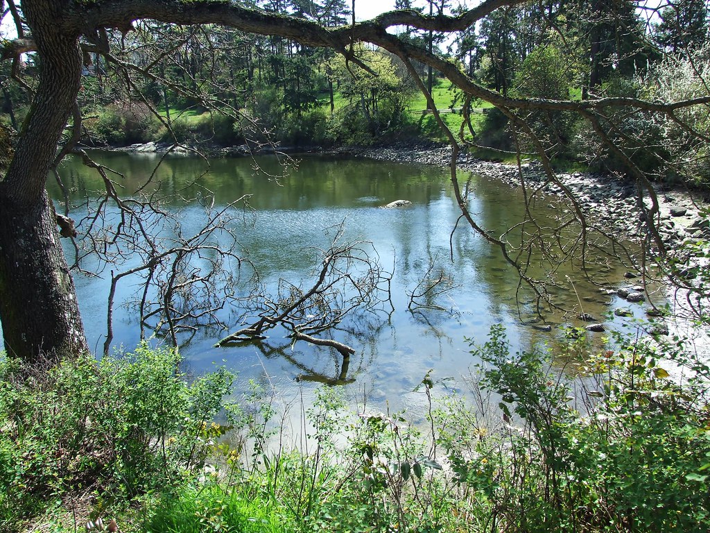 Lovely Bay at Banfield Park Banfield Park, Victoria West, … Flickr