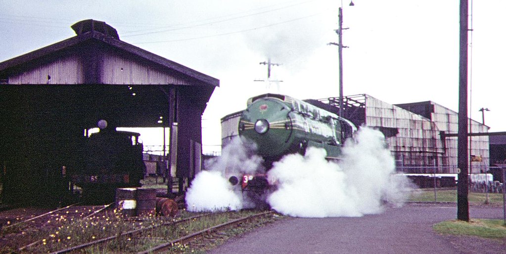 3801 Enfield Roundhouse Opening day for the NSWRTM at Enfi… Flickr