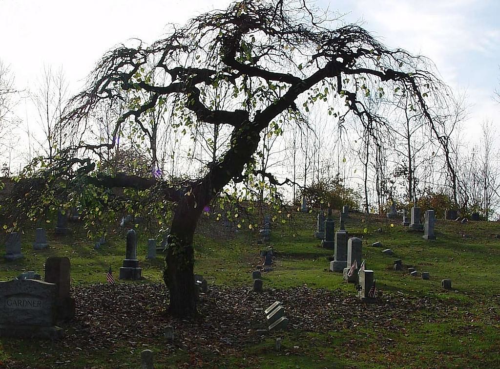 tree at stanhope union Stanhope Union Cemetery, Stanhope, … Flickr