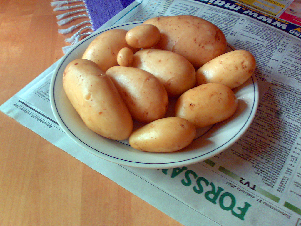New Potatoes Huge potatoes from own potato field. these al… Flickr